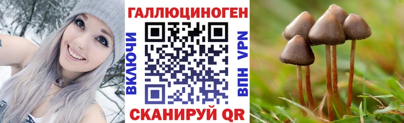 как найти закладки  Чекалин  Галлюциногенные грибы ЛСД 