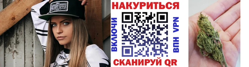 продажа наркотиков  Чекалин  Бошки марихуана Amnesia 
